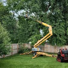 Best Lot and Land Clearing Services  in Lewisville, TX